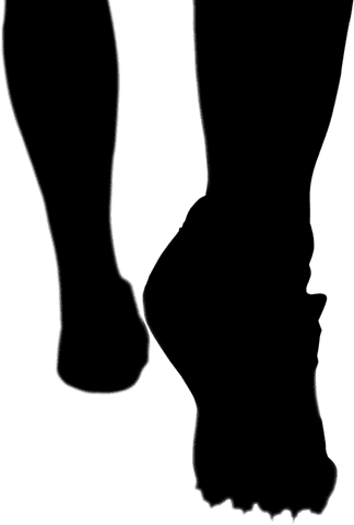 silhouette of soccer player's legs on transparent background - Download Free Stock Videos Pikwizard.com