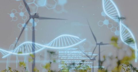 Hovering dna hologram blending with wind farm and yellow wildflowers for renewable biotech