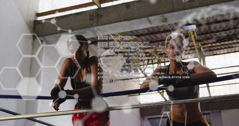 Digital Overlay on Female Boxers in Gym Ring - Download Free Stock Images Pikwizard.com