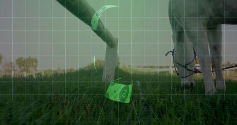 Goat grazing in farm field with digital tokens overlay