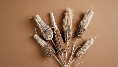 Decorative dried cattail stems on tan background in minimalist layout