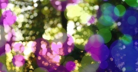 Ethereal bokeh orbs dancing over sunlit forest canopy, dreamy kaleidoscope of color