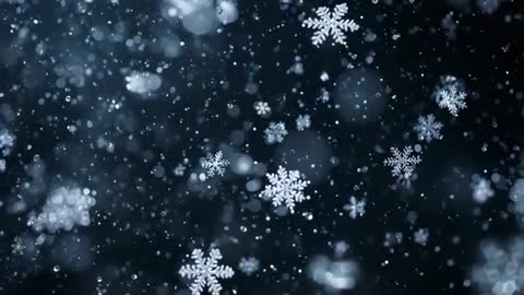 Serene Snowflake Descent Against Dark Field Setting