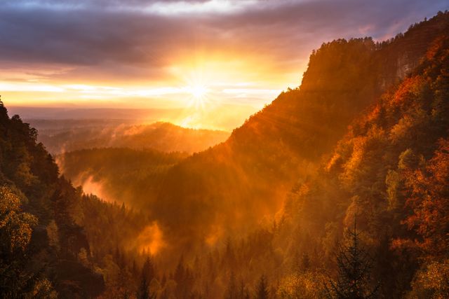 Stunning sunrise casting golden light over a misty autumn forest in the mountains, creating a serene and picturesque scene. Ideal for promoting travel, nature photography, inspirational quotes, and seasonal advertisements. Perfect for use in calendars, wallpapers, and outdoor adventure campaigns.