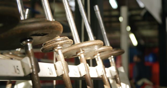 Close-up of Dumbbells on Rack in Gym - Download Free Stock Images Pikwizard.com