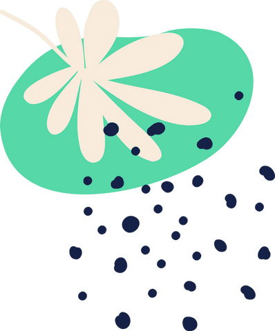 Transparent abstract floral minimalist design with petals and dots