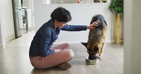 Woman Caring for German Shepherd at Home with Natural Light