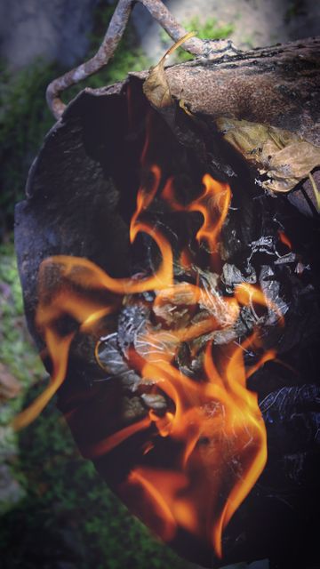 Close-up view of burning leaves with bright flames and smoldering char. Perfect for illustrating the concepts of nature's cycle, environmental concerns, forest fires, or outdoor activities such as camping. Can be used for educational materials, environmental awareness campaigns, disaster preparedness guides, or outdoor safety instructions.