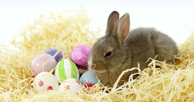 A small bunny sits among colorful Easter eggs nestled in soft straw, with copy space. The image evokes the festive spirit of Easter and symbolizes springtime celebrations.