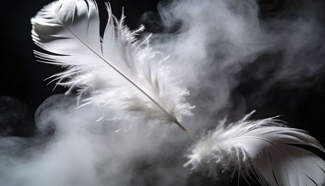 White feathers floating through soft smoke with rim lighting and ethereal bokeh