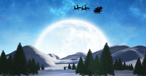 Santa Sleigh Silhouette Against Winter Night Sky