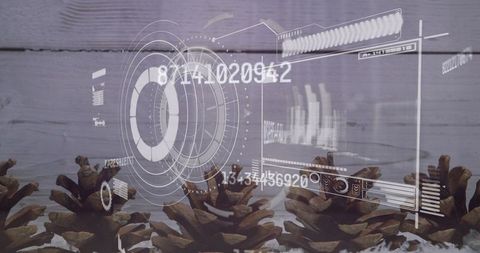 Digital Interfaces Overlay Pine Cones in Futuristic Concept