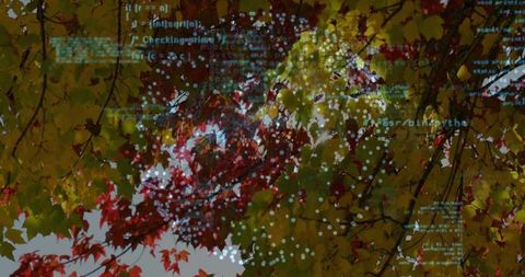 Autumn maple canopy with teal code overlay — double exposure blending nature and technology
