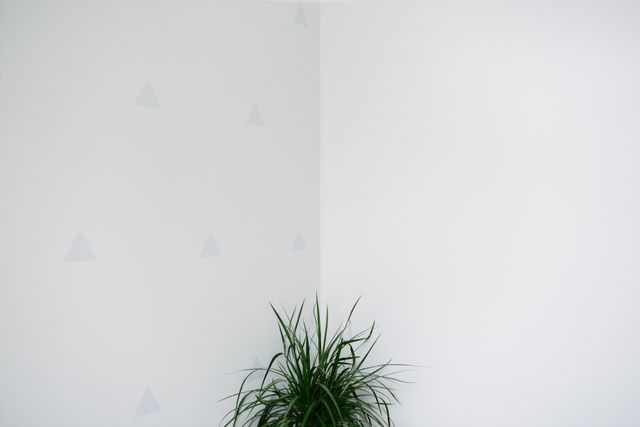 Minimalist Room Corner with Green Indoor Plant and Geometric Wall Art - Download Free Stock Photos Pikwizard.com