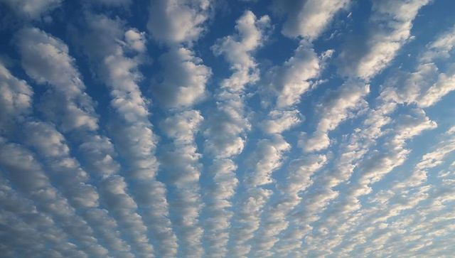 Mackerel sky forming altocumulus bands across expansive blue atmosphere