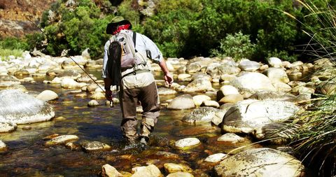 Fly Fisherman Wading in Sunlit River with Fishing Rod - Download Free Stock Images Pikwizard.com