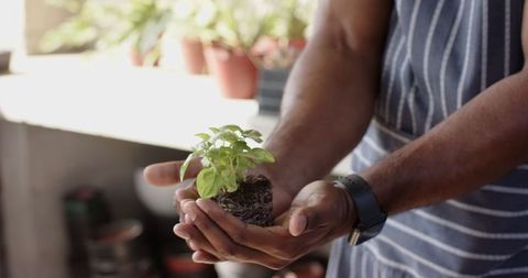 Man Holding Young Seedling in Garden Center