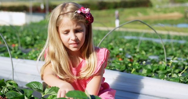 Blonde girl wearing pink dress and flower headband picking strawberries at farm. Ideal for usage in agricultural articles, advertisements for fresh produce, summer activity promotions, children's outdoor events, and gardening tutorials.