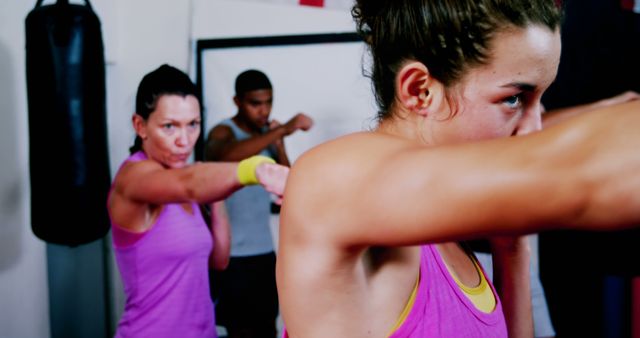 Group Fitness Class with Focused Individuals Practicing Punching Techniques - Download Free Stock Images Pikwizard.com