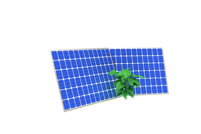 Photovoltaic Panels with Green Plant Isolated on Transparent Background - Download Free Stock Videos Pikwizard.com