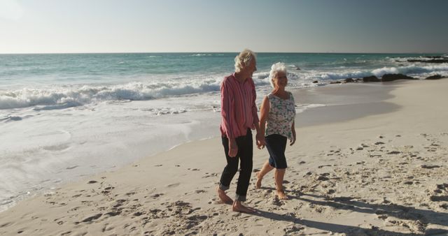 Senior Women Walking on Beach Enjoying Conversation - Download Free Stock Images Pikwizard.com