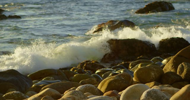 Golden hour sunlight illuminates waves crashing on rocky shore. Ideal for nature-themed designs, beach vacation promotions, and environmental awareness materials. Captures serenity and power of ocean.