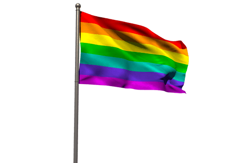 vibrant rainbow flag against transparent background in motion - Download Free Stock Videos Pikwizard.com