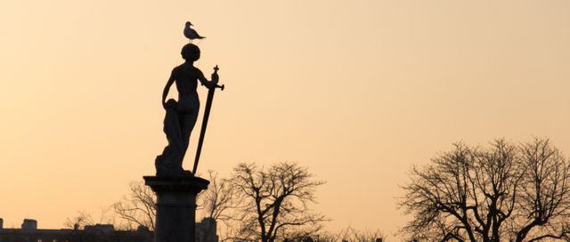 Historic statue silhouetted against a golden sunset, with a seagull perched on its head. Bare trees visible in background. Great for illustrating themes of history, nature, tranquility, and outdoor scenes. Perfect for travel blogs, city guides, and historical articles.