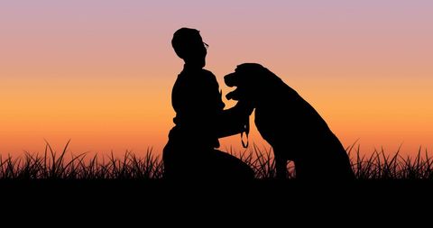 Silhouette of Dog and Owner in Sunset Serenity