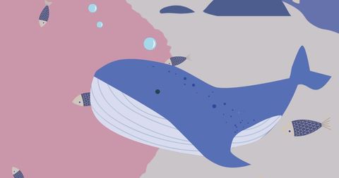 Colorful whale and fish illustration on pink background