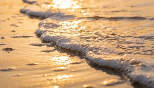 Golden shoreline lapping foamy waves reflecting warm sunlight during golden hour