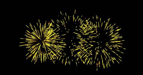 Golden 2024 new year fireworks celebration