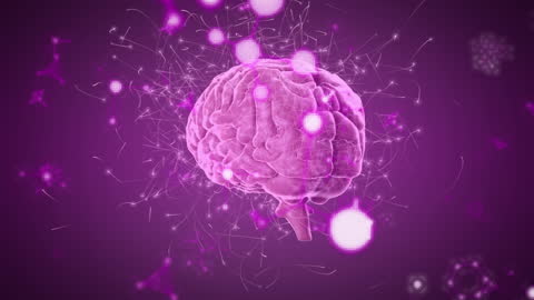 3D Human Brain with Digital Data Elements on Purple Background