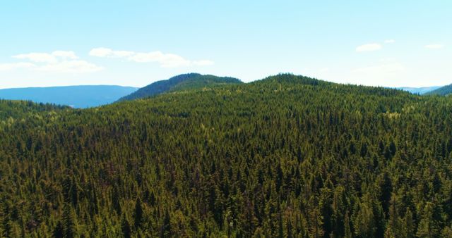 Aerial view of a dense forest landscape, showcasing nature's expanse - Download Free Stock Photos Pikwizard.com