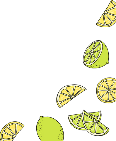 Hand-drawn citrus slices on transparent background illustration