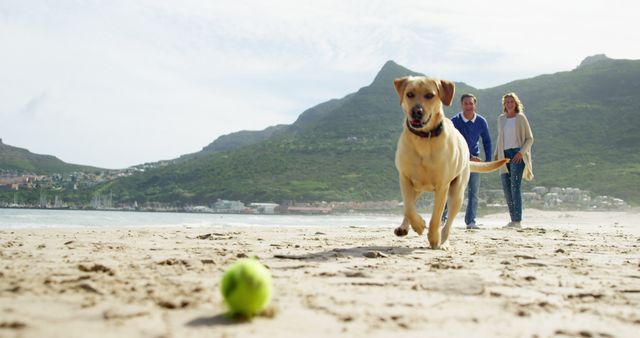 Family walking with their dog along a sandy beach with mountains in the background. The dog is running ahead to fetch a ball. Ideal for promoting pet-friendly travel destinations, outdoor activities, and family vacations.