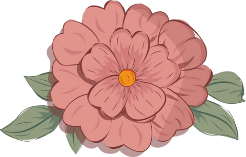 stylized pink flower illustration with transparent background - Download Free Stock Videos Pikwizard.com