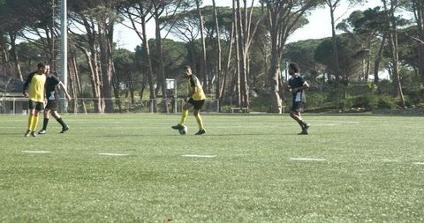 Soccer Practice on Scenic Field Under Sunny Skies