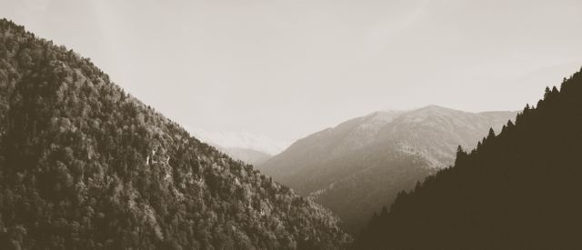Sepia-toned image depicting a scenic mountain valley with dense forest covering the slopes. Peaks in the background create depth and a sense of wilderness. Suitable for use in environmental projects, travel blogs, or as wall art for offices or homes to evoke a sense of calm and natural beauty.