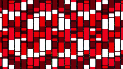 Red and White Rectangles in a Dynamic Motion Pattern