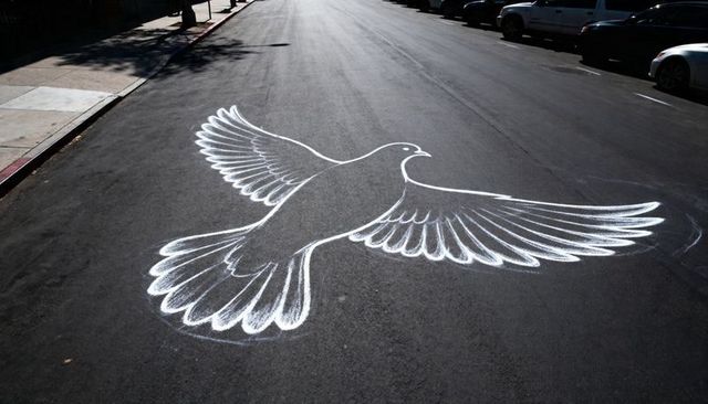 Giant chalk dove spreading wings across urban asphalt street symbolizing peace and freedom