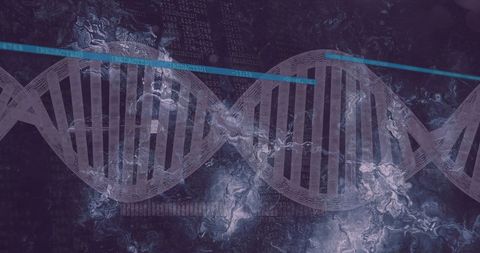dna strand and data processing conceptual visual - Download Free Stock Images Pikwizard.com