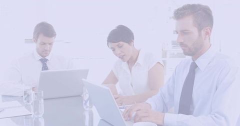 Focused Business Team Working Collaboratively in Office Meeting