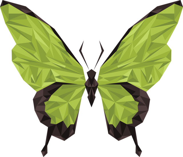 Bright Green Geometric Butterfly Vector on Transparent Background - Download Free Stock Videos Pikwizard.com