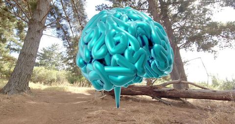 Hovering teal brain sculpture reflecting sunlight woodland trail abstract outdoor art