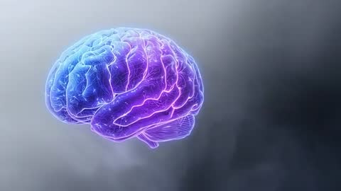 Pulsing Digital Brain in Virtual Space with Neural Activity