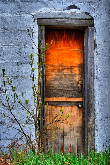 This rustic door with faded orange paint on a weathered brick wall offers a vintage and abandoned aesthetic. Suitable for use in projects focused on urban decay, abandonment, and contrasting textures, it can enhance themes in website backgrounds, artistic projects, or promotional materials seeking a distressed and nostalgic look.