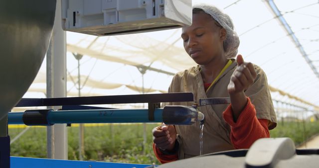 Image shows a worker collecting water inside a commercial greenhouse. This can be used for content related to agriculture, horticulture, commercial farming practices, sustainable irrigation methods, and industrial plant production. Ideal for articles, blogs, and promotional material in the agriculture and horticulture sectors.