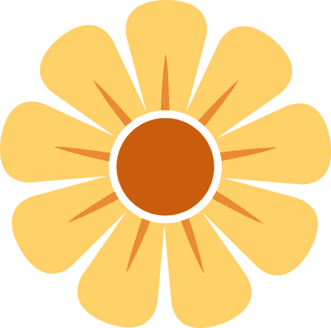 minimalist flat flower icon on transparent background - Download Free Stock Videos Pikwizard.com