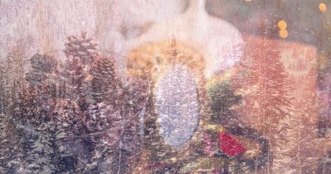 Winter Wonderland Through Frosted Window